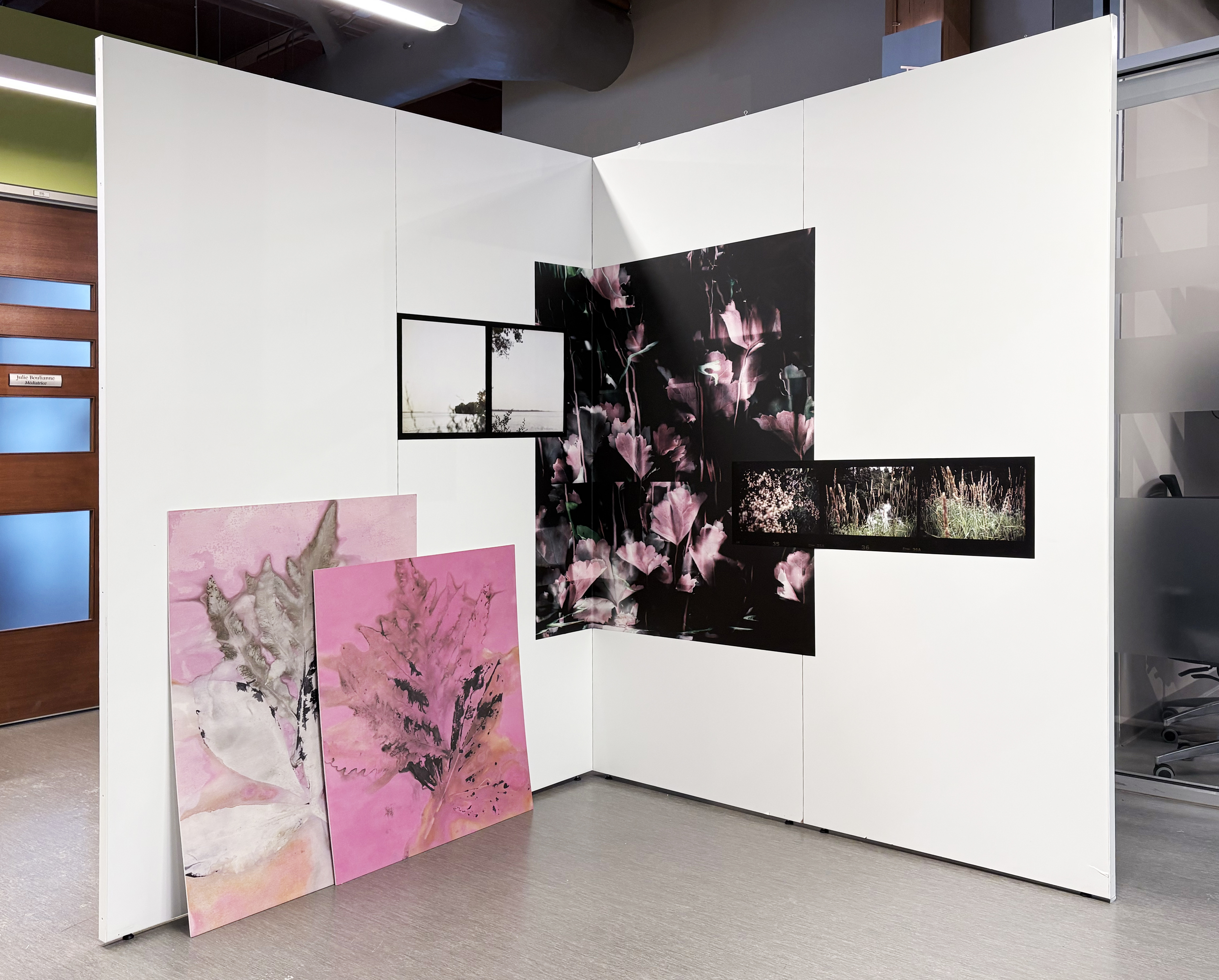 Vue de l’exposition Esquisses et rêverie pour un jardin en devenir