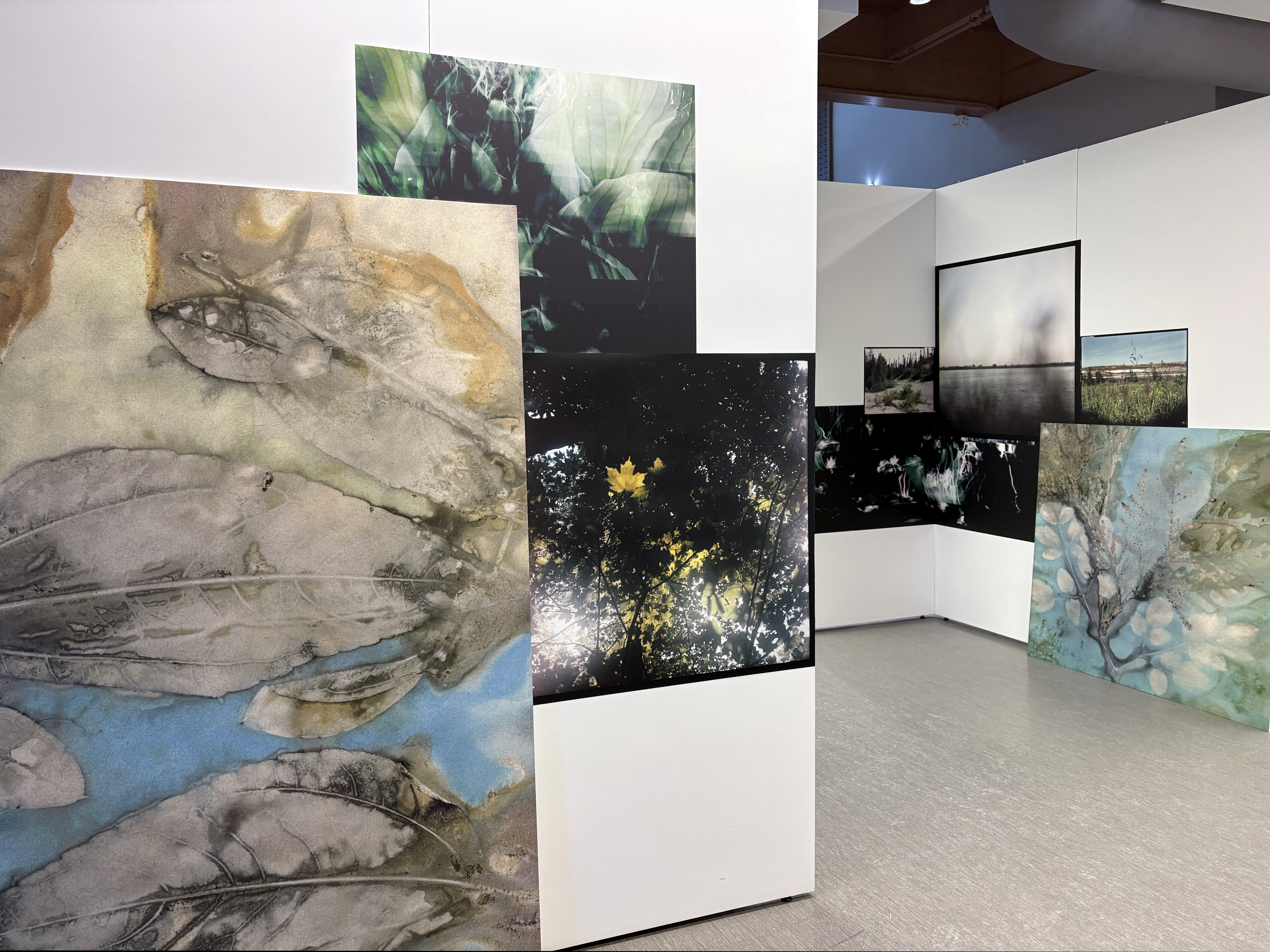 Vue de l’exposition Esquisses et rêverie pour un jardin en devenir