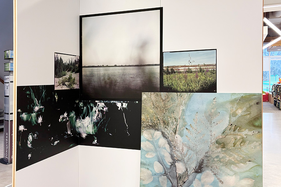 Vue de l’exposition Esquisses et rêverie pour un jardin en devenir